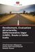 Revêtement, OmniScriptum SRL Revêtement, Évaluation structurelle, Déformomètre léger (LWD), Route à faible trafic
