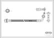 Corteco 19032946 Remslang | Compatibel met: TOYOTA LAND CRUISER 80