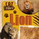 Lion Kidhaven Publishing Cat Files- Lion Paperback