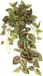 Flair Flower Kunstmatige Bonnetelhanger Klimop Ranks Slinger Hangkunst Plant Struik Hanger Plant Ranks Plantenbak Kamerplant Klimplant 151724GNR
