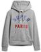 Superdry Glitter Graphic Logo Hoodie Grijs M Vrouw