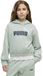 Puma Essential 2 Color Nº1 Logo Short Length Hoodie Vert 5-6 Ans Fille