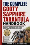 THE Gooty Sapphire Tarantula The Complete Gooty Sapphire Tarantula Handbook