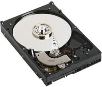 Dell NPOS - to be sold with Server only - 1TB 7.2K RPM SATA 6Gbps 512n 3.5in Cabled Hard Drive