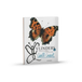 Eenhoorn, Uitgeverij De Vlinders tekenen, krabbelen en kleuren
