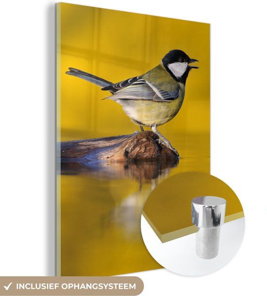 MuchoWow® Glass Painting 120x160 cm - Acrylic Glass Painting - Titmouse - Bird - Water - Photo on Glass - Paintings
