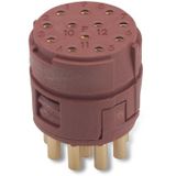 Lapp EPIC SIGNAL M23 Kits 12pole EPIC M23 12-pin Bruin