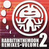 Remixes Rabbit In The Moon The Rabbit in the Moon Remixes
