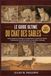 LE GUIDE ULTIME DU CHAT DES SABLES