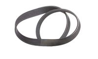 Continental CONTITECH 6PK800 V-ribband