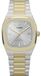 Timex herenhorloge in zilver en goud – Timex-TW6A00600