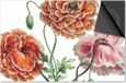 Dietrix Inductie Beschermer - 83x51.5cm - Botanical Roze Bloemen
