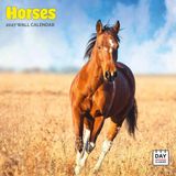 Dayplanner Paarden Kalender 2027 Wandkalender