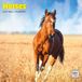 Dayplanner Paarden Kalender 2027 Wandkalender