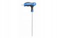 Hogert Clé Torx de sécurité type T longue TT27 HT1W873
