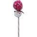 Minene Bavoir Bandana Lollipops Rouge 1 Unité
