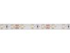 Velleman LS12M130CW1 flexibele LED-strip 300 LEDs - 5 M - 12 V, koudwit