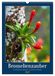 Bromelienzauber CALVENDO Bromelienzauber (Wandkalender 2027 DIN A3 hoch)