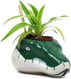 Half Moon Bay Harry Potter - Slytherin - bloempot