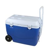 C.A.O. - Harde koelboxen van HDPE + PU foaming + PP - kleur: blauw/wit