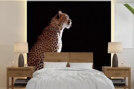 Nr1Wallpaper Behang - Fotobehang Cheeta - Dieren - Licht - Breedte 280 cm x hoogte 280 cm