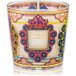 Baobab Collection - My First Baobab - My First Baobab Mexico