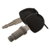 febi bilstein 02041 Barrel Lock Reparatieset voor voordeur en achterklep, pak van één