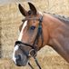 Harry's Horse Hoofdstel Black Cognac Trens Polyester Zwart Full