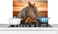 KitchenYeah Spatscherm keuken 70x50 cm - Kookplaat achterwand Paard - Dieren - Portret - Muurbeschermer - Spatwand fornuis - Hoogwaardig aluminium