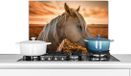 KitchenYeah Spatscherm keuken 70x50 cm - Kookplaat achterwand Paard - Dieren - Portret - Muurbeschermer - Spatwand fornuis - Hoogwaardig aluminium
