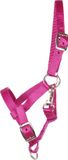 Pagony Happy veulenhalster Fuchsia maat: Veulen
