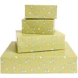Papierschachtel Rico Design Papierschachtel Set Mistelzweige, Hellgrün, FSC MIX
