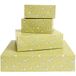 Papierschachtel Rico Design Papierschachtel Set Mistelzweige, Hellgrün, FSC MIX