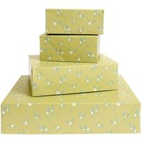 Papierschachtel Rico Design Papierschachtel Set Mistelzweige, Hellgrün, FSC MIX