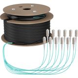 EFB Elektronik O8341S130OM3 InfiniBand und Glasfaserkabel 130 m 12x SC U-DQ(ZN) BH Beige, Schwarz, Blau