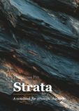 ThinkLines Pro Strata Focus Notebook for Professionals