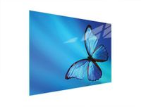 TMK ArtDeko Snijplank 40x30 cm Glas Motief Motyl
