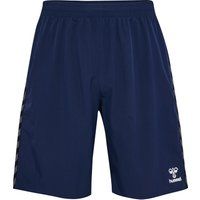 Hummel Authentic Training Shorts