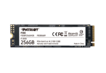 Patriot Memory P300 256GB - Interne SSD