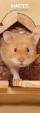 Hamsters 2025 Slim Kalender