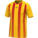 Mizuno Maillot Équipe Shimizu Jeu