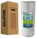 Alapure filtre à eau, convient pour Hayward CX1100RE / C1100 filtres à eau de piscine, type StarClear
