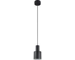 TRIO AGUDO Hanglamp Zwart mat