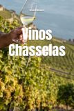 Vinos Chasselas