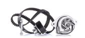 INA 530 0166 31 waterpomp + tandriemmenset | Compatibel met: SEAT AROSA, CORDOBA, IBIZA II, VW LUPO I, POLO, POLO III, POLO III CLASSIC, POLO Variant