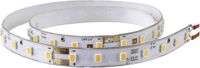 Viessmann Modelltechnik 5089 LED-strip Stadsverlichting Met aansluitdraden 1 stuk(s)