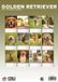 CalendarsRUs Golden Retriever A3 Kalender 2027