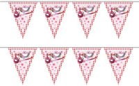 Folat Geboorte Vlaggen Slinger - Roze - 2 Stuks - 6 Meter
