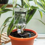 Bubblegum Stuff Mini Plant Support