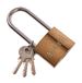 Amtech XXSEL50 hangslot met lange sluiting, meerkleurig, 50 mm